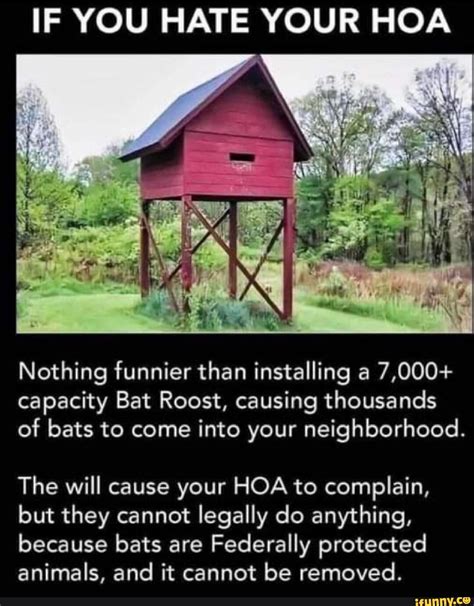 funny hoa quotes|hoa rules and regulations.